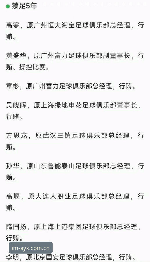 爱游戏官网入口 资深用户分享:从足协第三批禁足名单看中国足球的